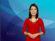 Bóng đá anh, ngoại hạng anh, lịch thi đấu euro 2012, Bản tin Văn hóa toàn cảnh ngày 22/12/2011